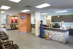 A photo of a vet hospital lobby, highlighting the floor tile