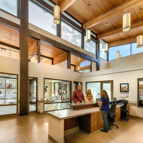 Humane Society of Truckee-Tahoe – Animal Arts Humane Society of Truckee-Tahoe – Animal Arts