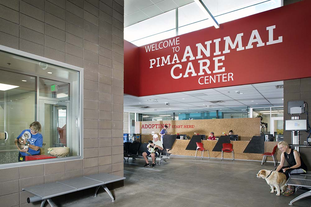 Pima Animal Care Center Animal Shelter - Animal Arts Pima Animal Care Center Animal Shelter - Animal Arts