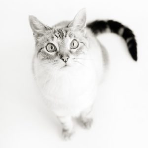 Nadia