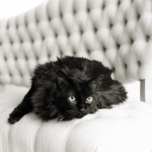 Frances
