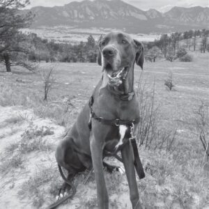 Ozzie