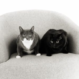 Gris and Nyx