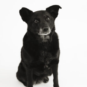 Bindi